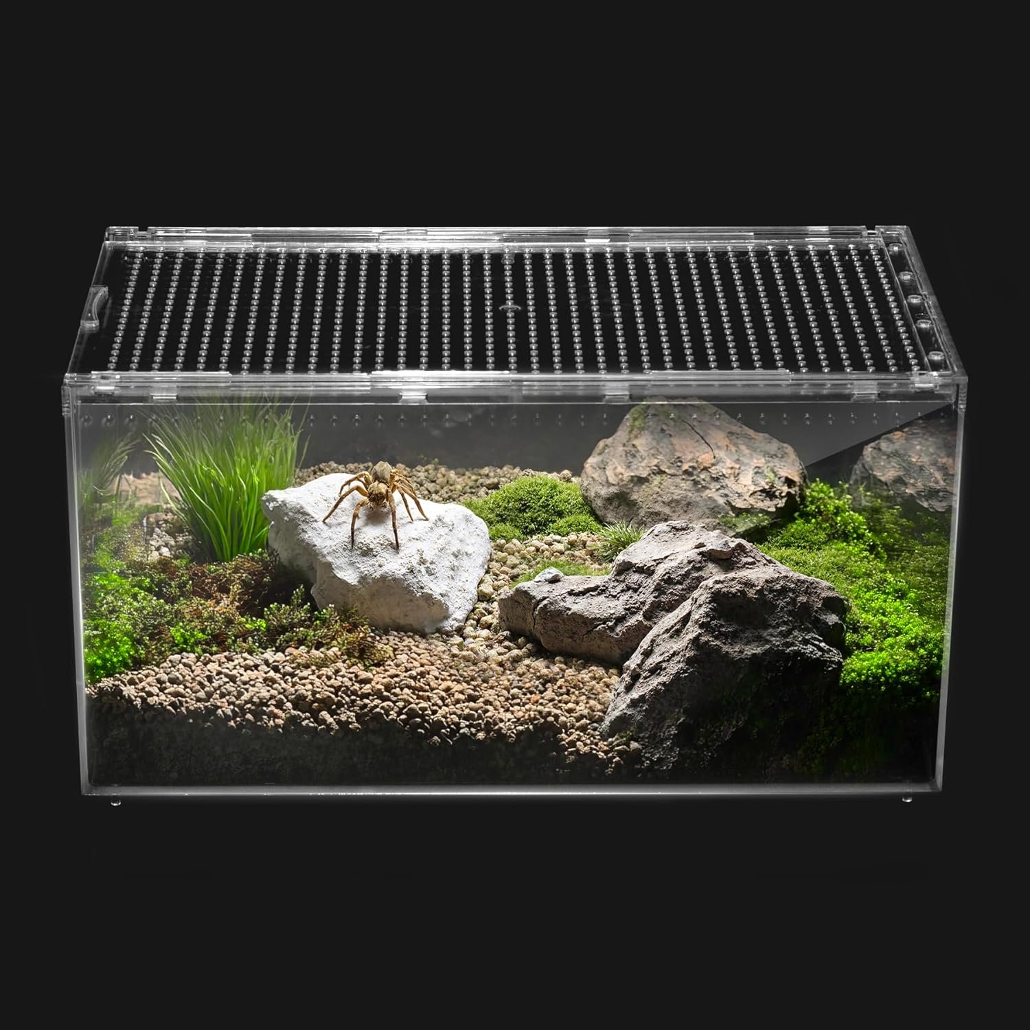 Reptile PC Terrarium,Tarantula Enclosure,Spider Tank Starter Kit,Leopard Gecko Container,Hermit Crab Habitat,Lizard Enclosure,Insect Housing,Jumping Spider Cage,Small Bearded Dragon Vivarium L