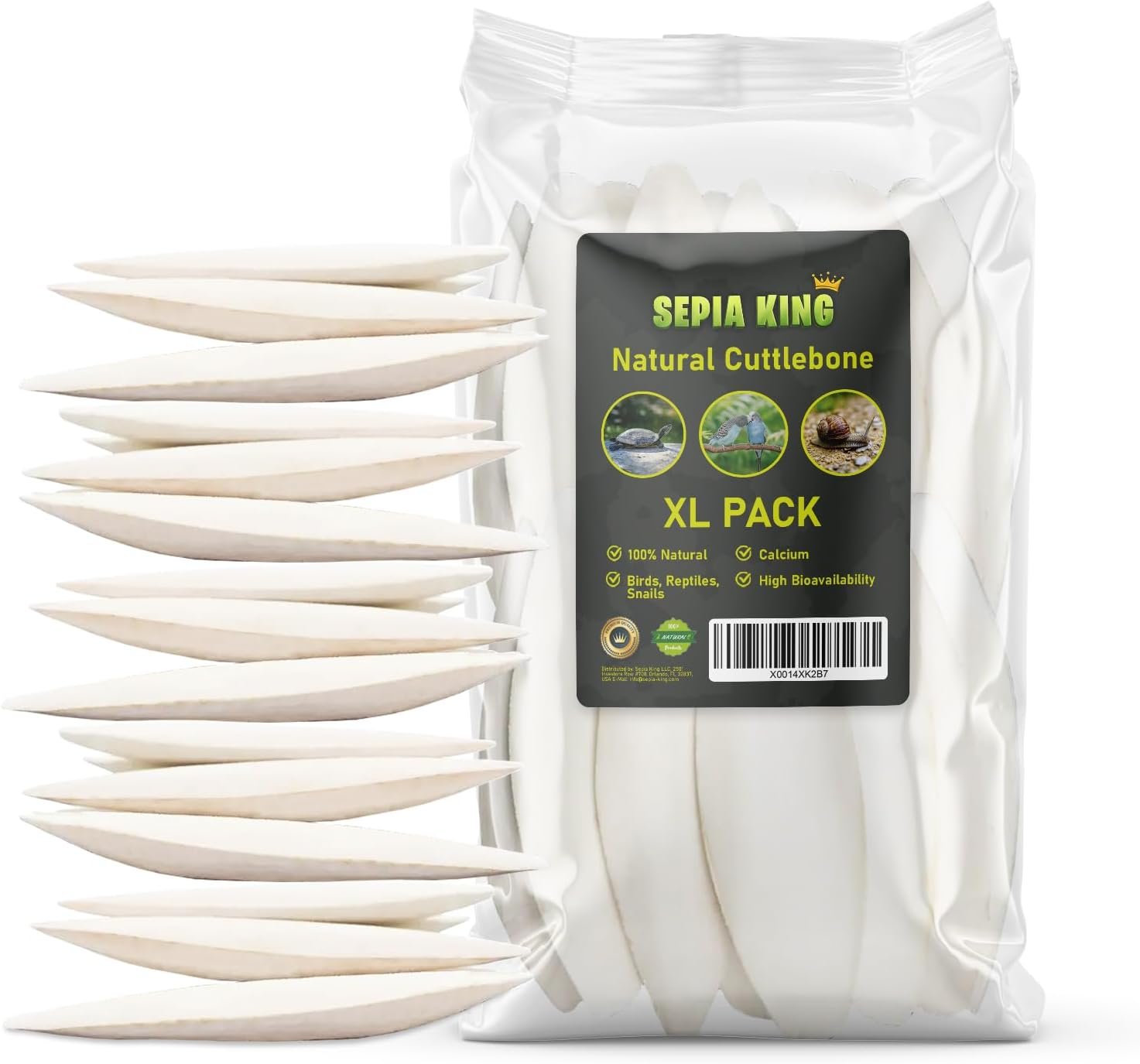 Sepia King – Large – Cuttlebone for Birds, Tortoises, Snails, Reptiles 5.5-7″ – 8.8oz – 100% Natural Calcium Supplement, Food and Toys for Parakeets, Turtles