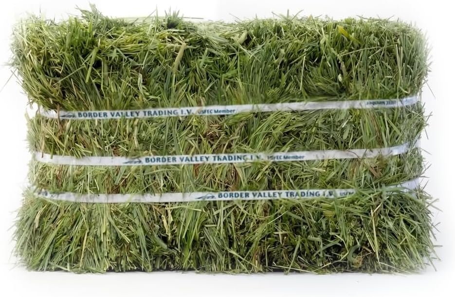 Border Valley Timothy Hay Bale in Bag, 40 lb – High Fiber Grass Hay for Rabbits, Guinea Pigs, Chinchillas, Tortoises, Horses and Livestock – Classic Coarse Grass Hay, Farm-to-Home Freshness