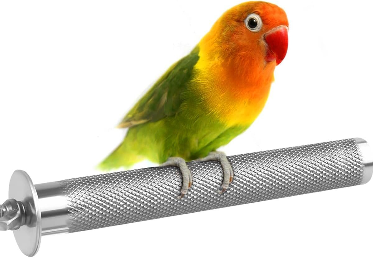 KATUMO Conure Perch – Stainless Steel Bird Stand Rough-surfaced Branch for Small Birds (6 x 0.7 inch)