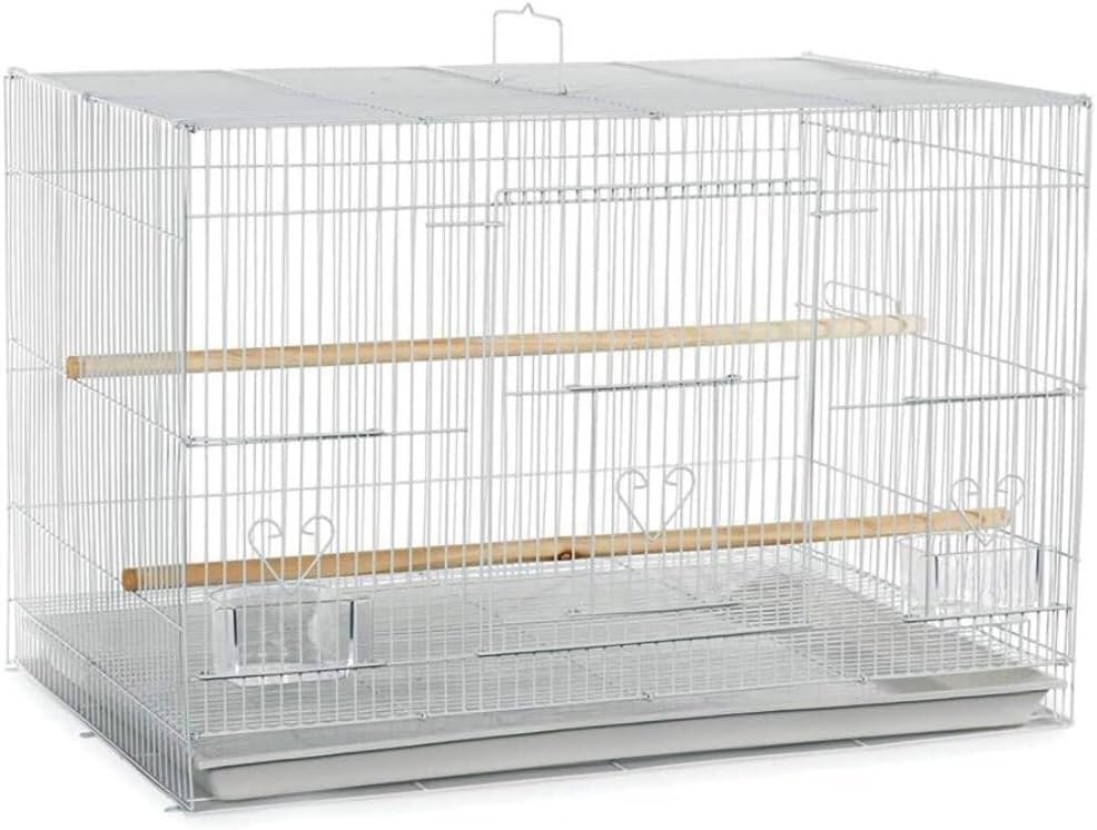 A&E Cage Co 503 White SP Flight Bird Cage – 24″ x 16″ x 16″ Small Bird Cage for Finches, Canaries & Parakeets – Includes 2 Feeder Stations, Wood Perch, Slide-Out Tray & Carry Handle (White)