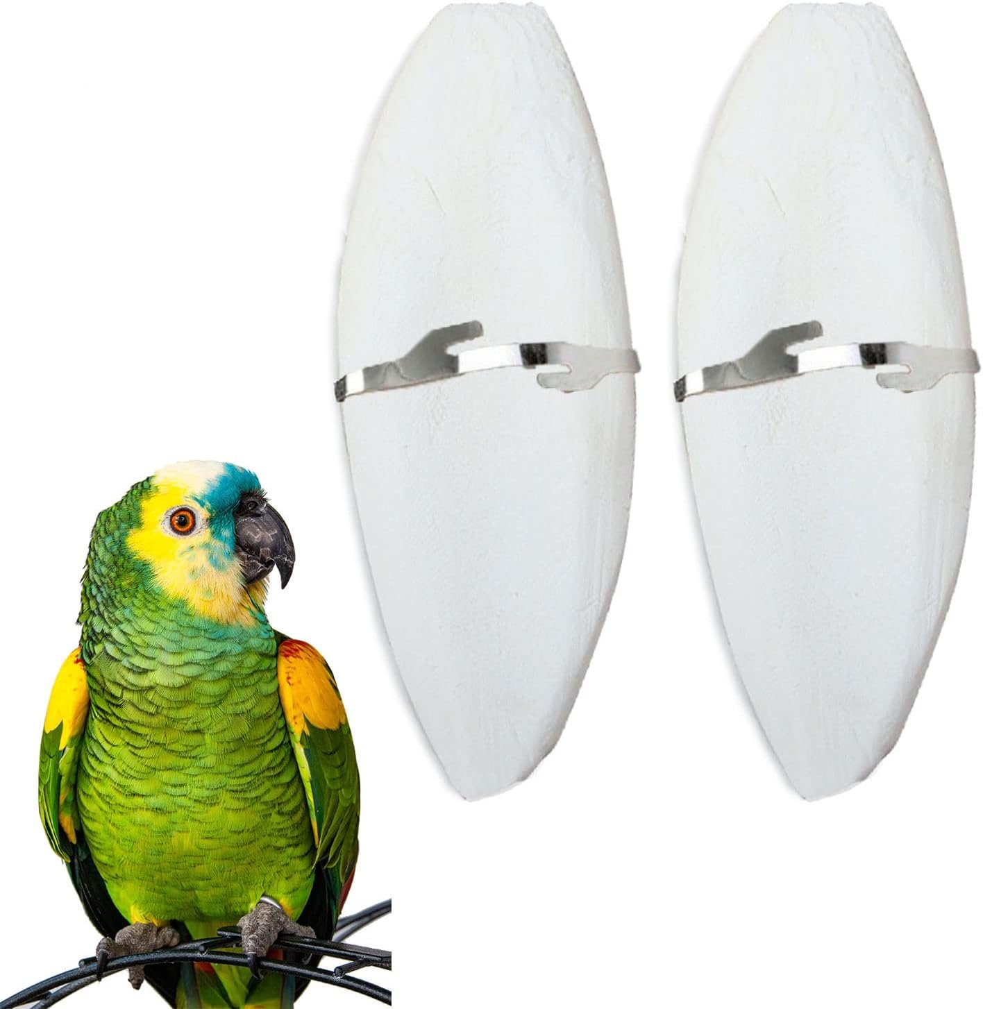2 Pack Big Cuttlebones for Birds Parakeets Cockatiels African Greys All Parrots Tortoise Snails Animals, 6.3-6.5inch Large Cuttlefish Bones with Holder for Bird Cage