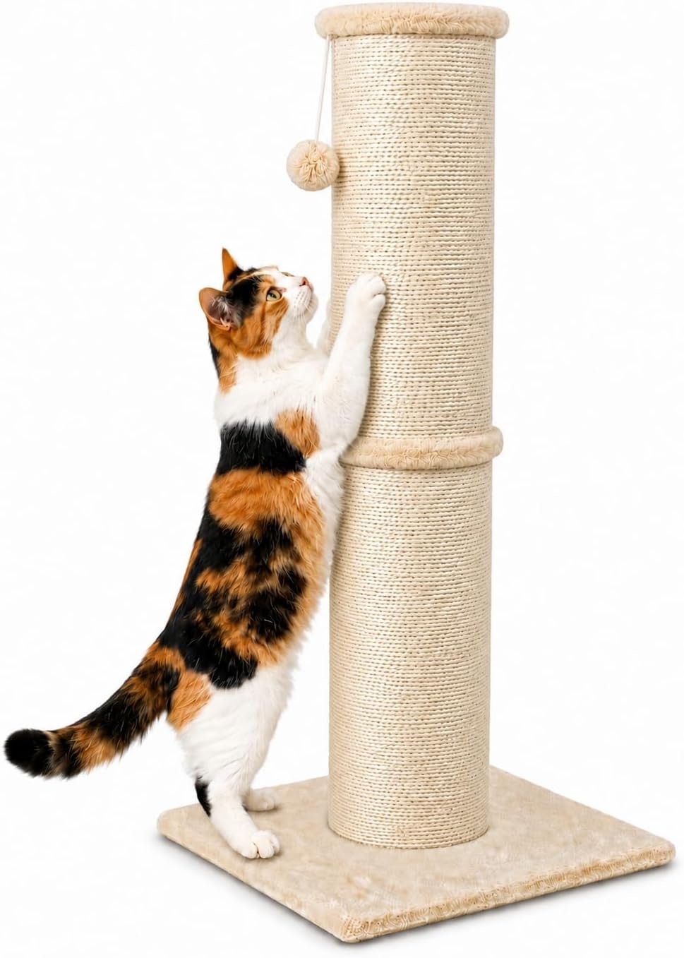 PAWSCRAT Cat Scratching Post 32 Inch High, 5.5 Inch Large Diameter Natural Sisal Cat Scratch Post, Scratch-Resistant and Durable Tall Cat Scratcher for Indoor Cats, Protect Your Furniture, Beige