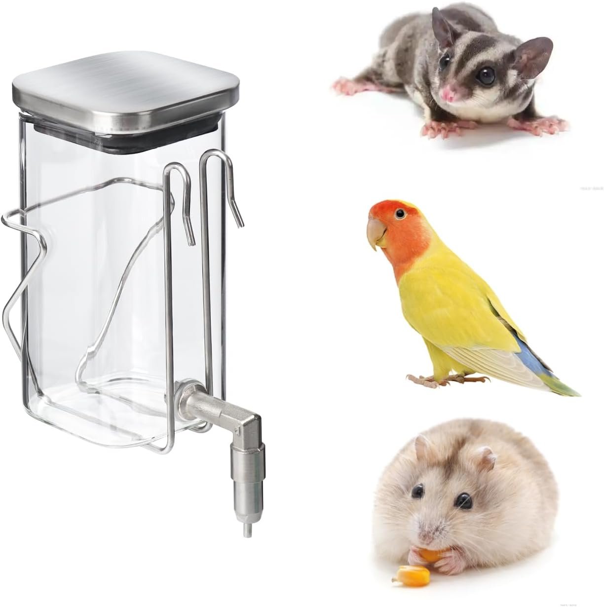 Premium Stainless Steel & Glass Pet Water Bottle – Firing Pin No-Drip Dispenser for Rabbits/Parrots/Rodents | 3 Size Options with Universal Cage Mount (350ml)