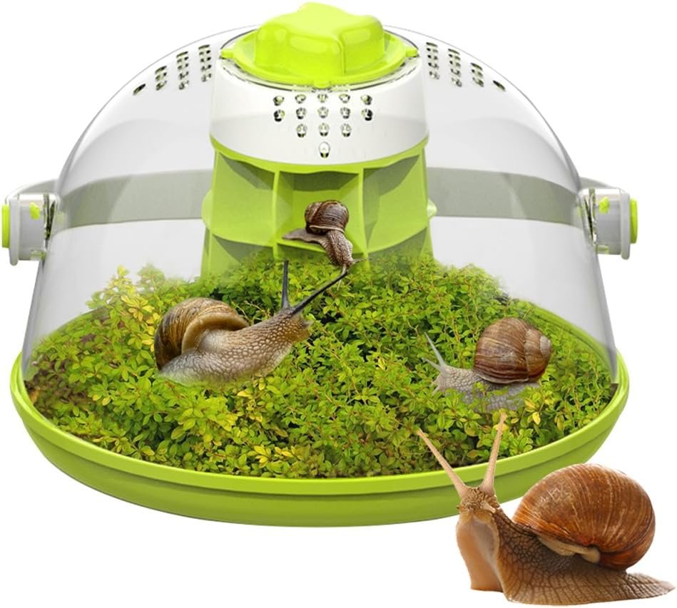 Snail Terrariums Breeding Box, Round Habitat Starter Terrarium Kit, Transparent Feeding Box, Ideal for Beetles, Spiders and Small Reptile