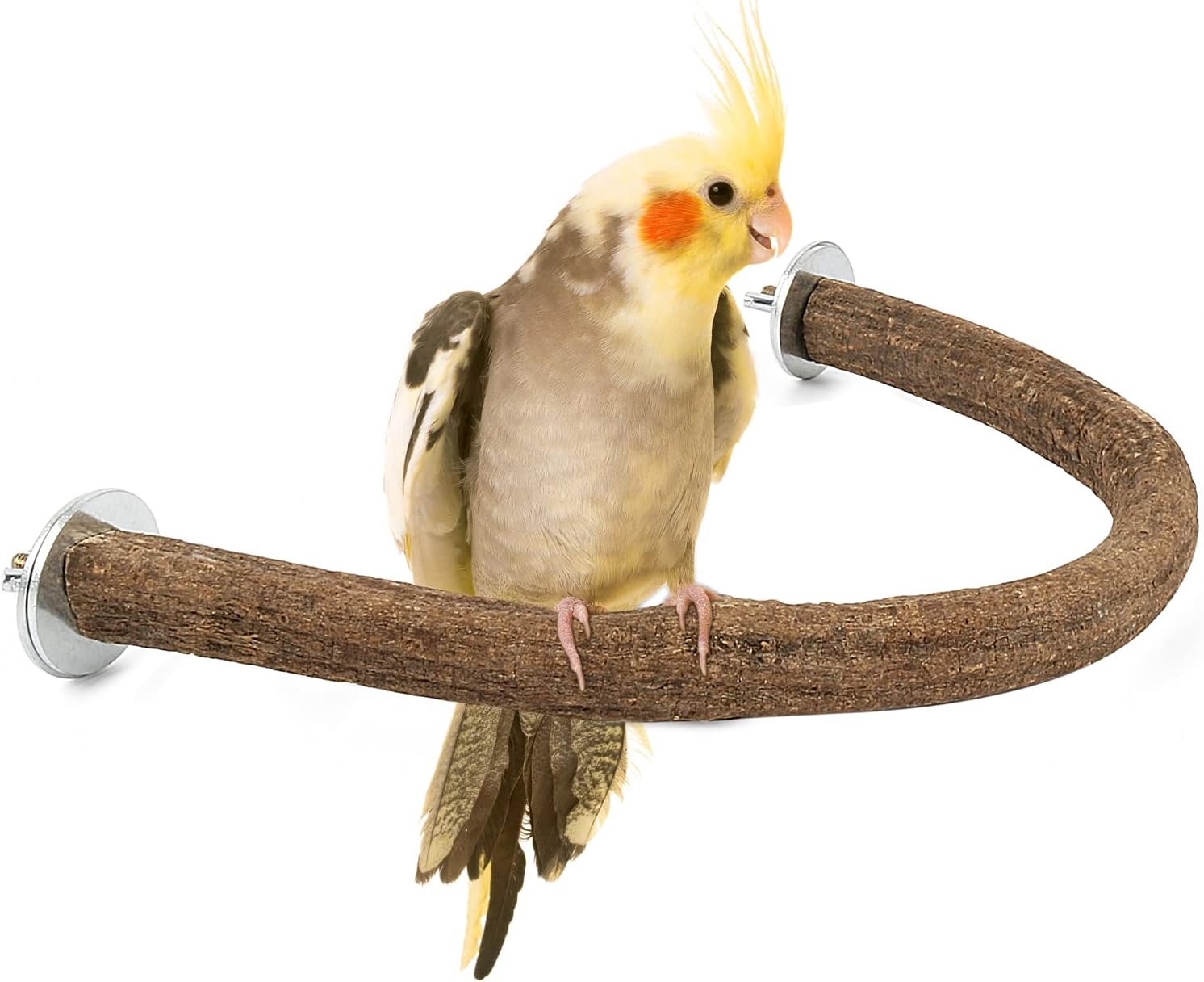 Rypet Natural Wood Bird Perch, U-Shaped Safe Chew & Rest Perch for Parakeets, Cockatiels, Lovebirds, Budgies & Small Conures – Durable Non-Toxic Cage Accessory