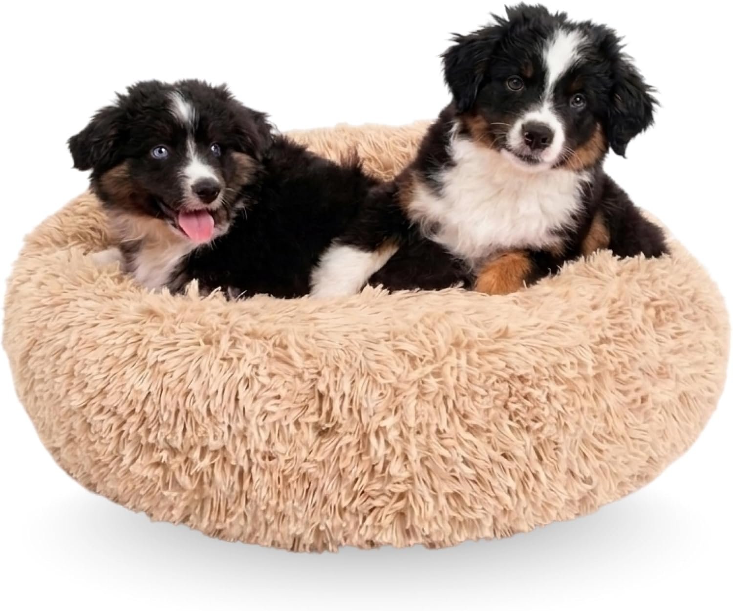 Active Pets Large Dog Bed, Calming Orthopedic Pet Bedding for Anxiety Relief, Joint Support & Comfort, Washable Dog Furniture, M 45lbs, Beige