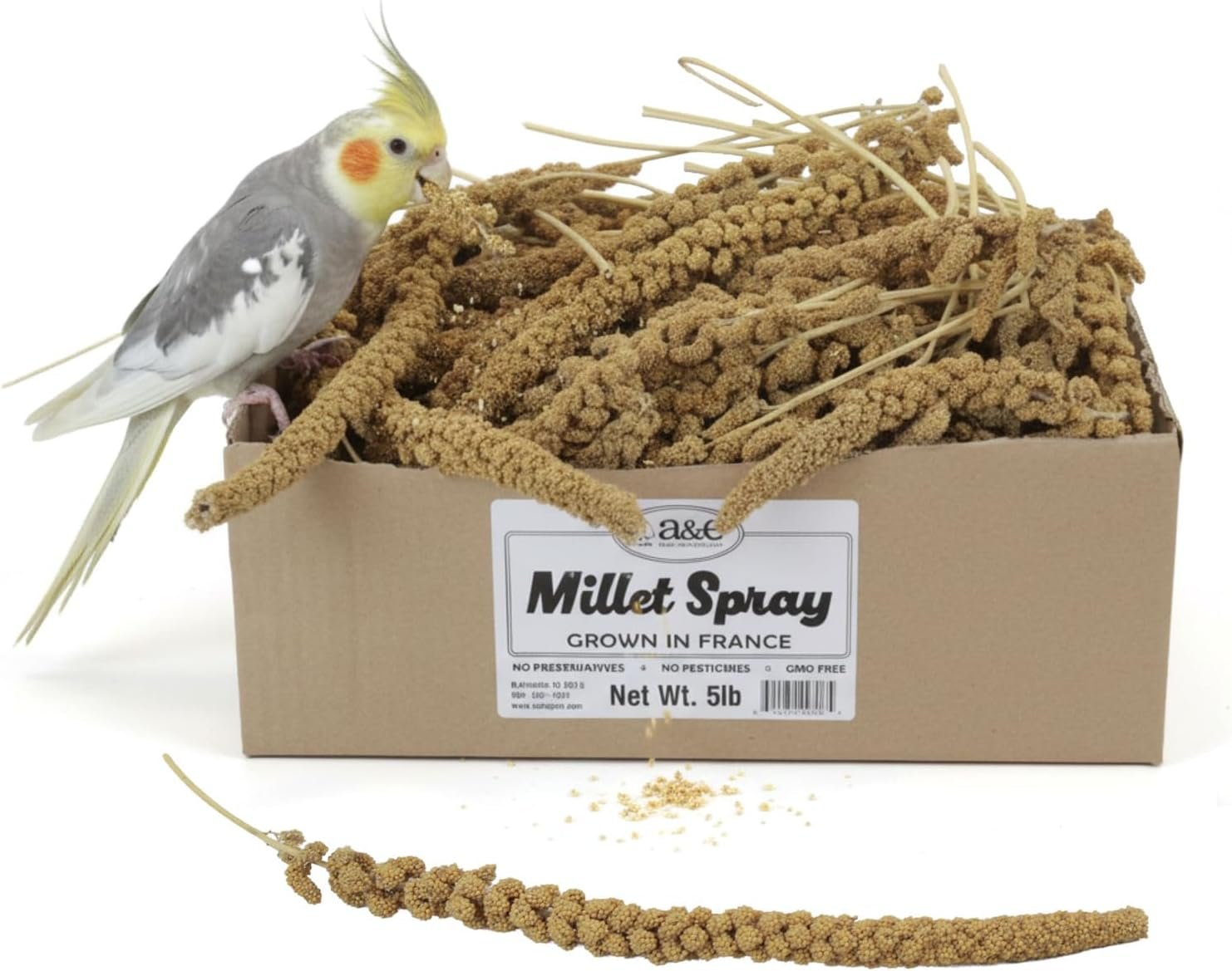 A&E Cage Co AE9055 Premium French Millet Spray – 5lb Bulk Box Natural Spray Millet for Birds – Healthy Bird Treat for Parakeets, Budgies, Cockatiels, Finches & Small Birds