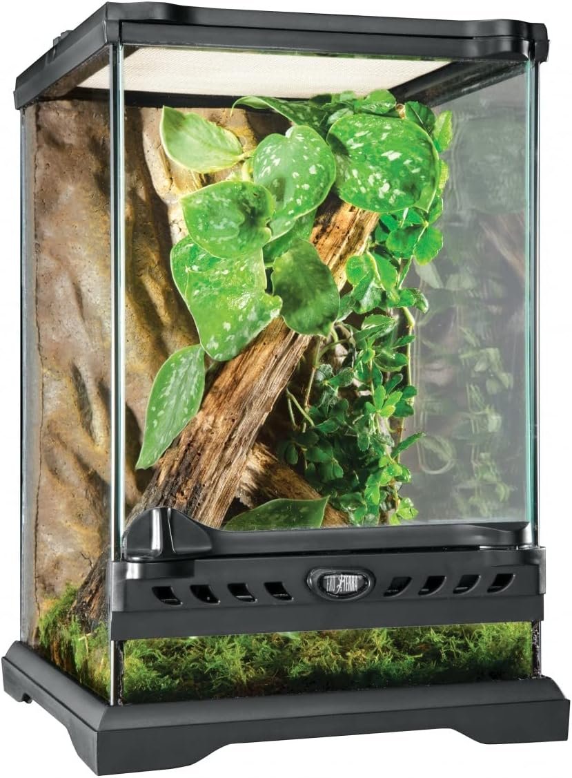Exo Terra Glass Nano Terrarium Kit for Reptiles and Amphibians, Nano Tall – 8 x 8 x 12 Inches