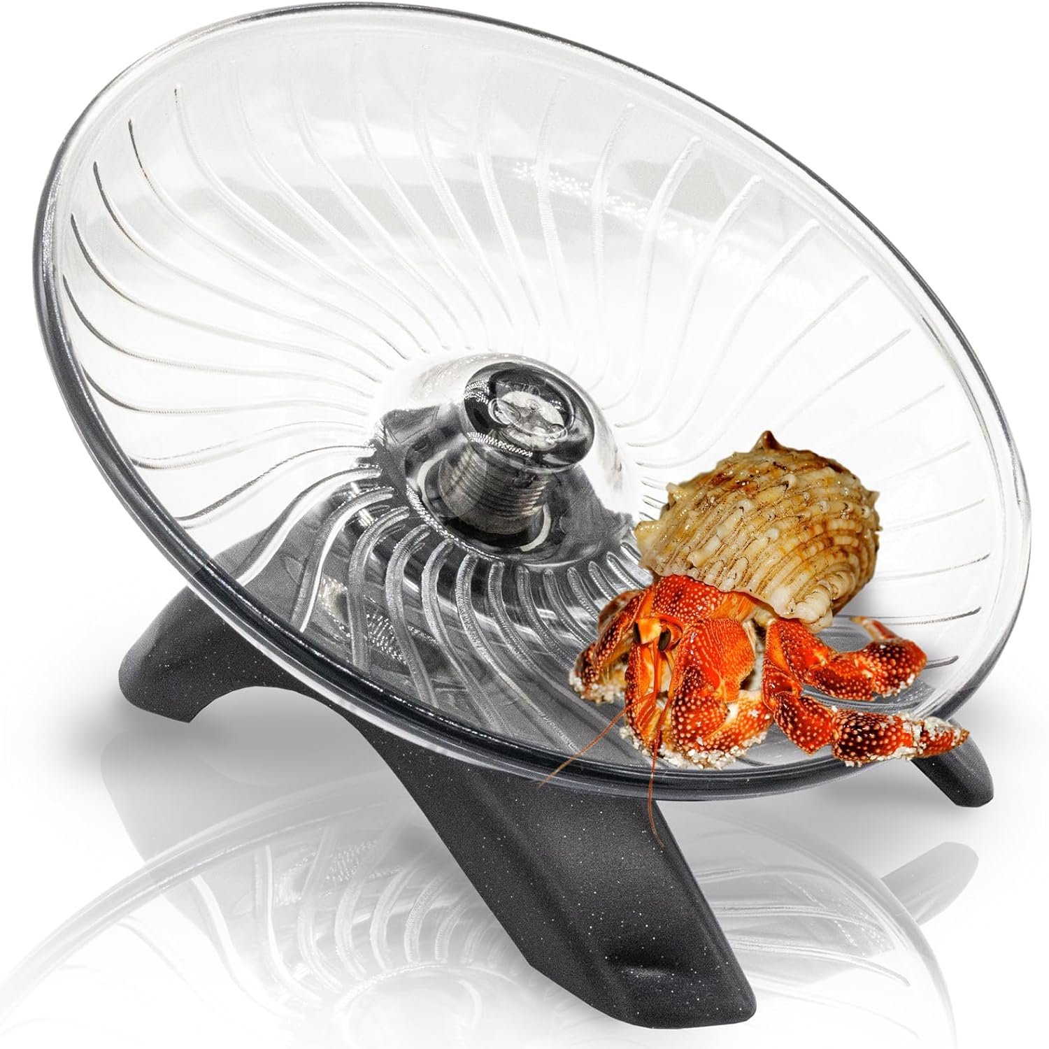 Hermit Crab Exercise Wheel – Silent Running Wheel for Crab Tank Accessories – Small Animal Wheel for Hamster Gerbils Hedgehogs