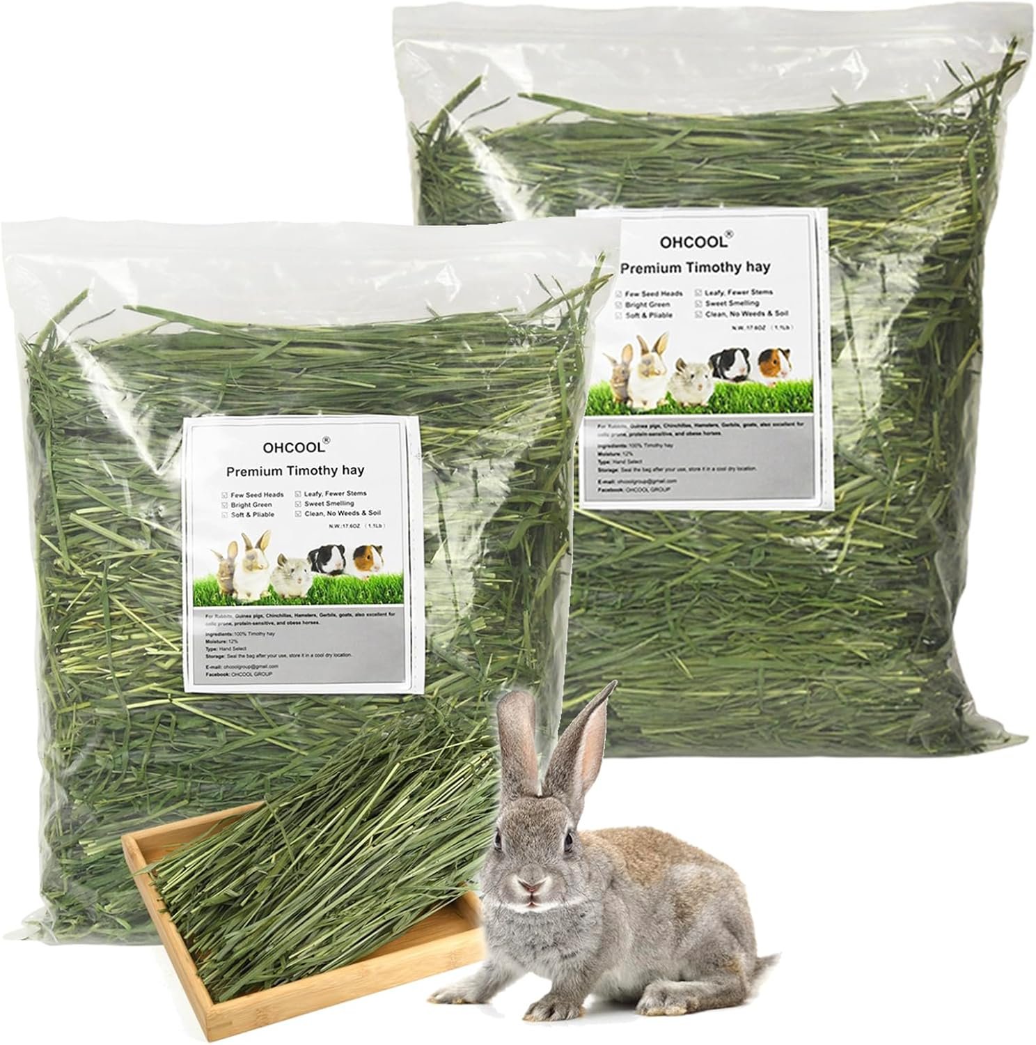 Timothy Hay 2.2LBS – Premium Hay for Rabbits Tortoise Guinea Pig Chinchilla – Dust Free Natural Fresh Hay (1.1 lbs, 2 Pack)