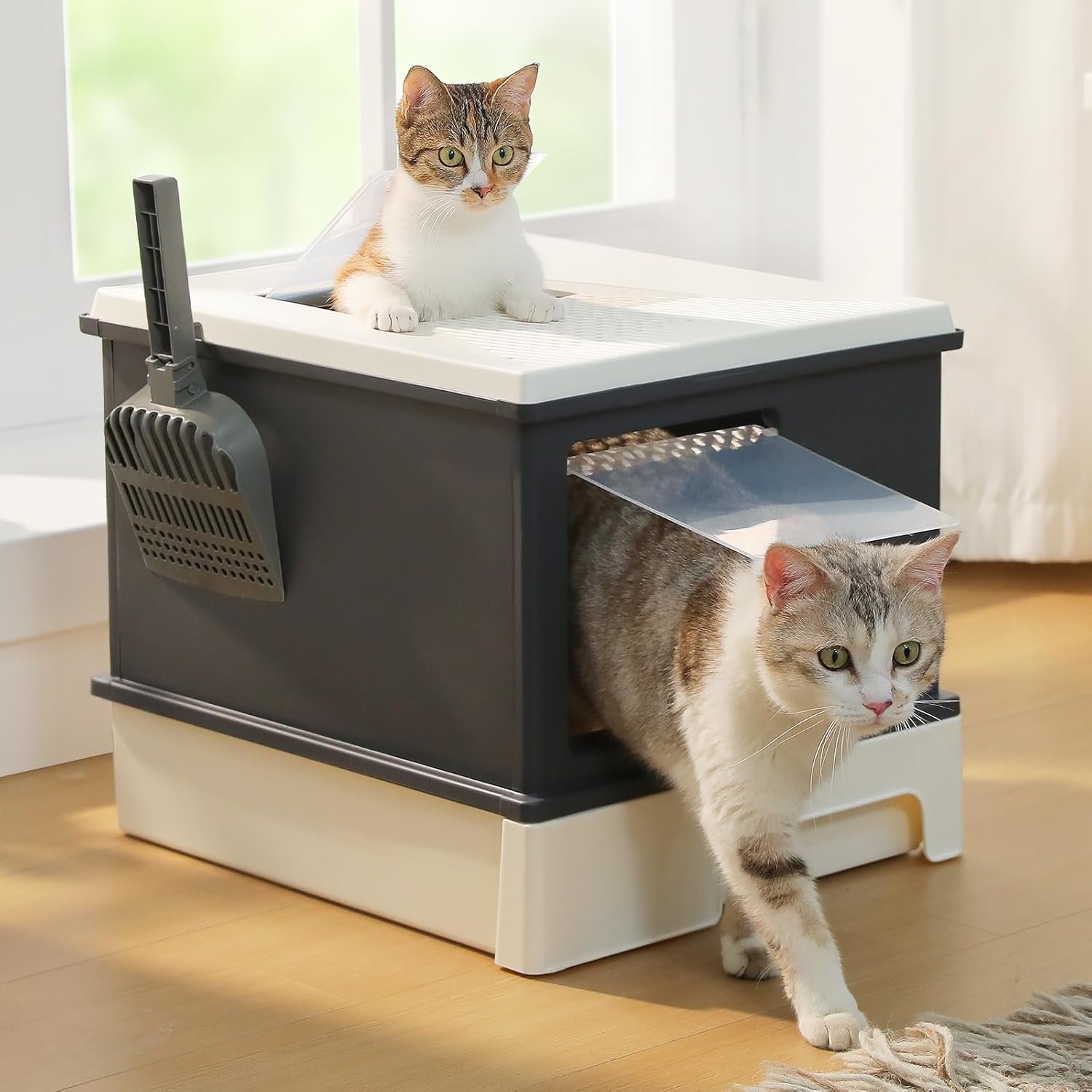 PAWZ Road Large Cat Litter Box, Dual Entry Litter Box with Lid, Fully Enclosed Drawer Type Cat Litter Box for Large Cats,Dark Gray