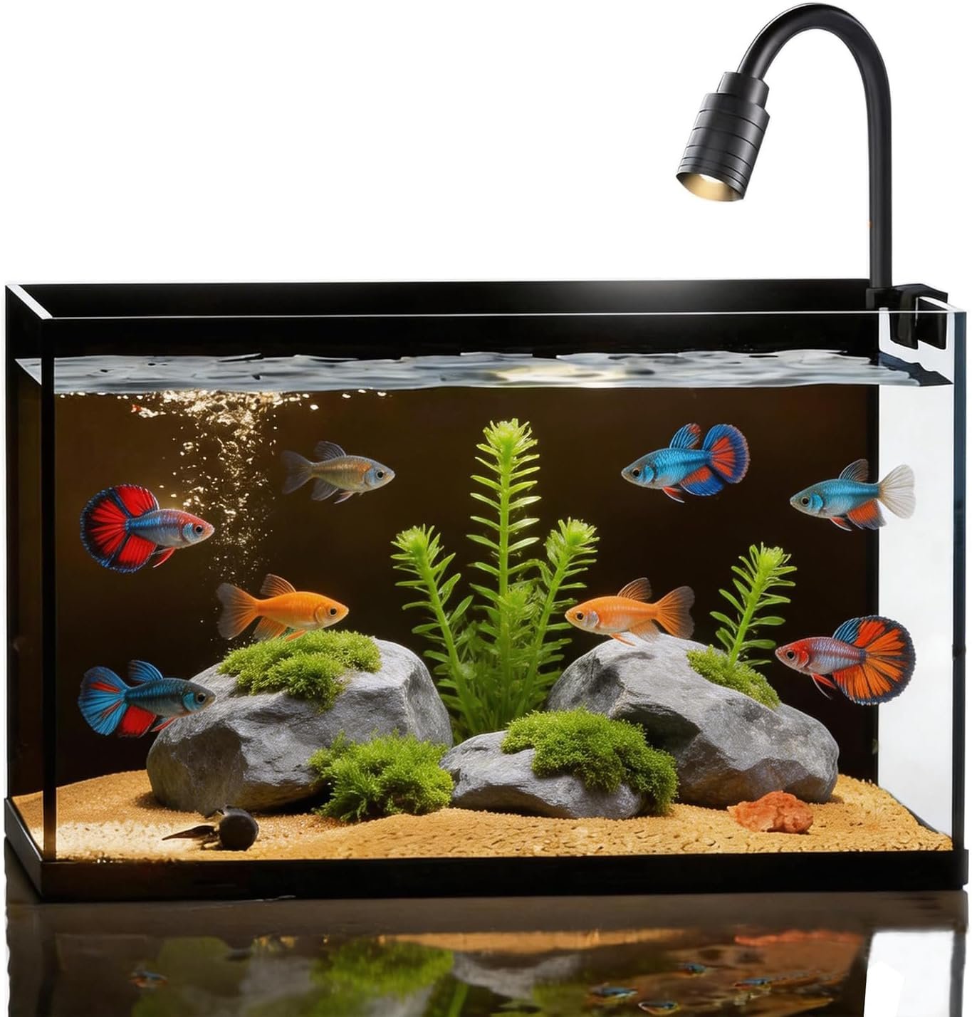 Small Fish Tank Kit,Nano Ultra-Clear Glass Rimless Black Desktop Fish Tank with Light Cleaning Tool & Décors,Small Fish Aquarium for Betta,Shrimp,Small Fish (2Gal Fish Tank Starter Kit)