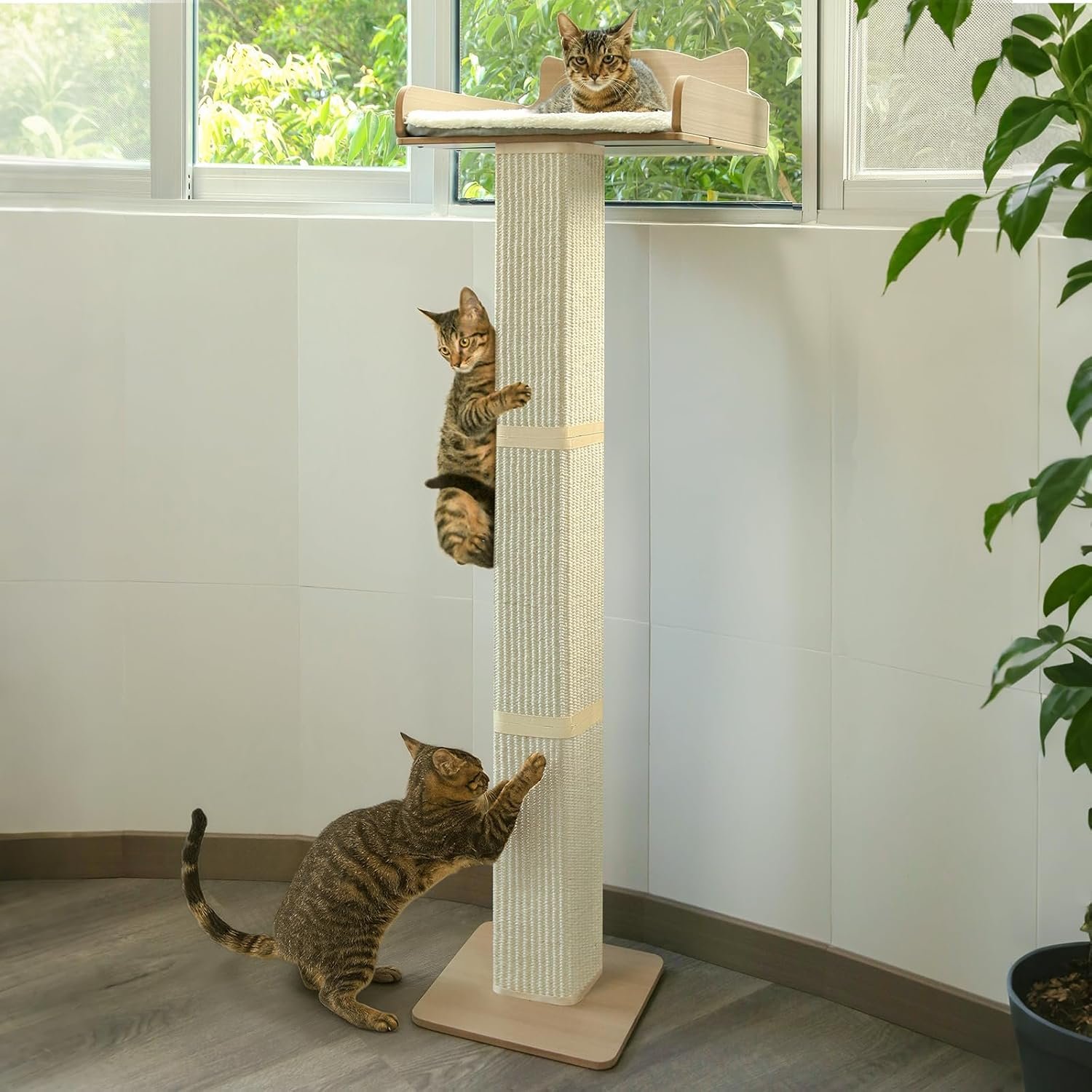 Cat Window Perch with Thick Sisal Scratching Post, Cat Hammock for Window, 53.5″ Adjustable Tall Cats Scratching Post with 2 Upgrade Suction Cups, Cats Window Bed with Fluffy Cushion, Sisal