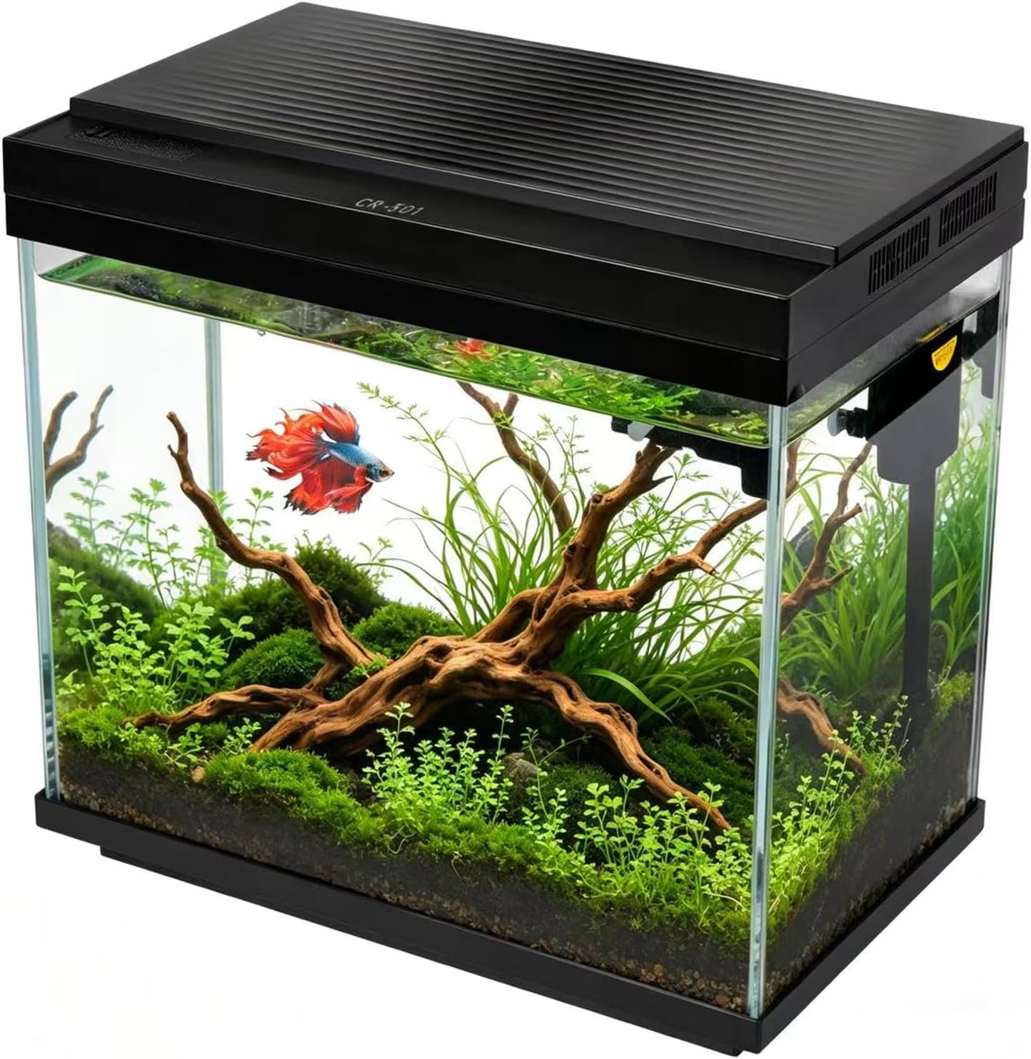 FS&AQ 3 Gallon Fish Tank with Filter and Light No-Install Small Aquarium Starter Kit