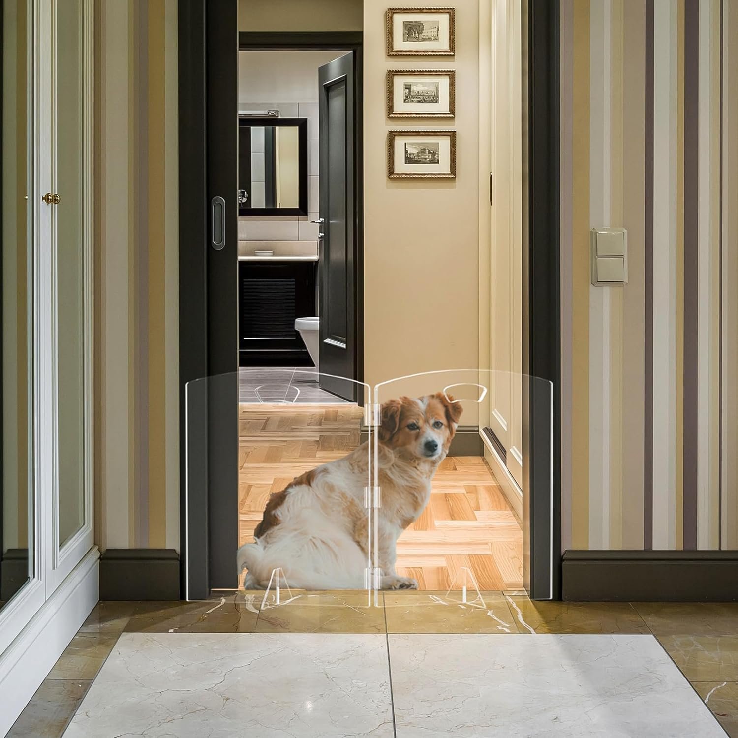 Clear Freestanding Dog Gate for Indoor Use,Pet Gates for Doorways no Drilling,Acrylic Foldable Dog Gate for Stairs with Support Feet (2 Panel – 40”W x 23”H)