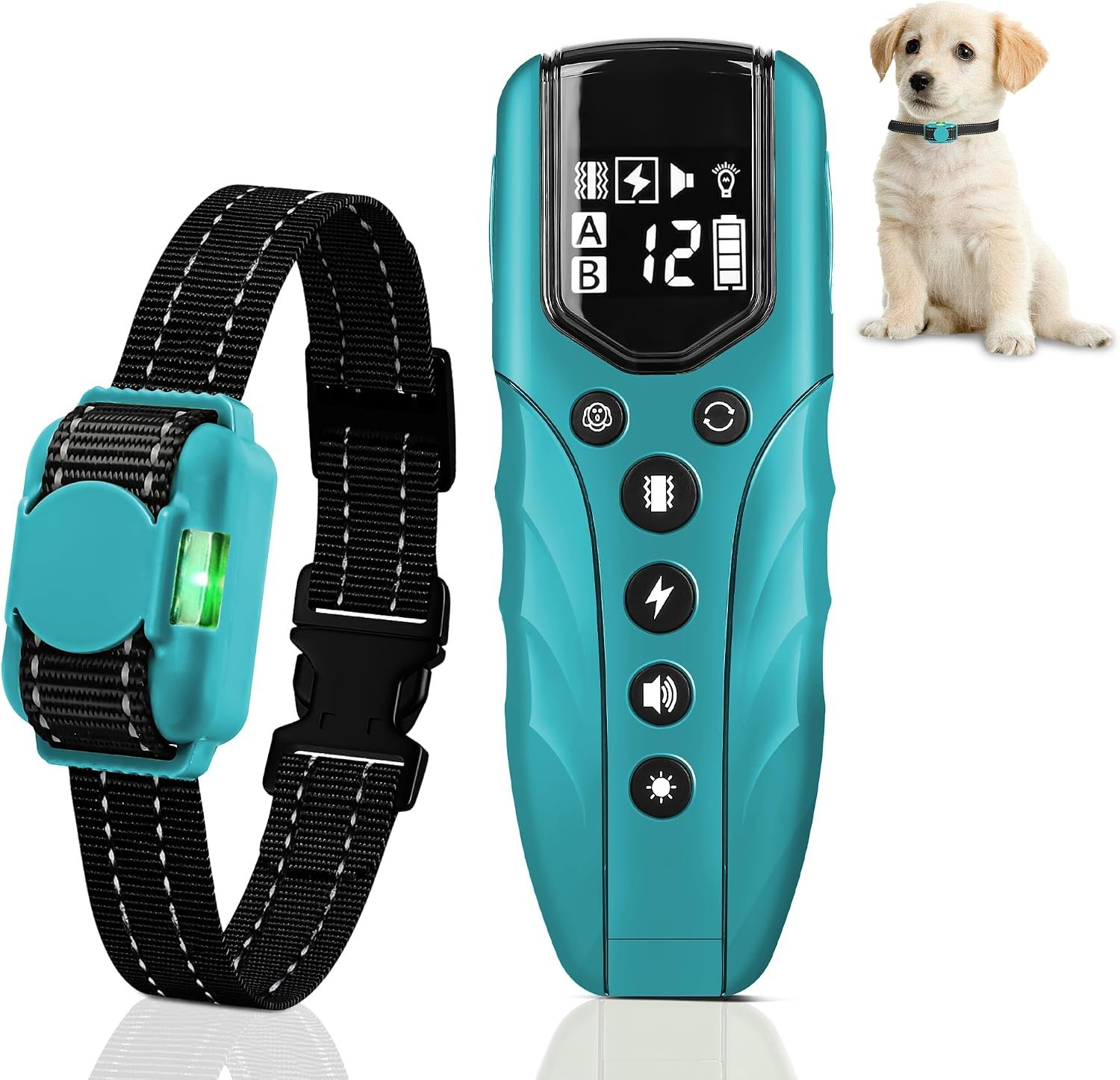 Dog Training Collar