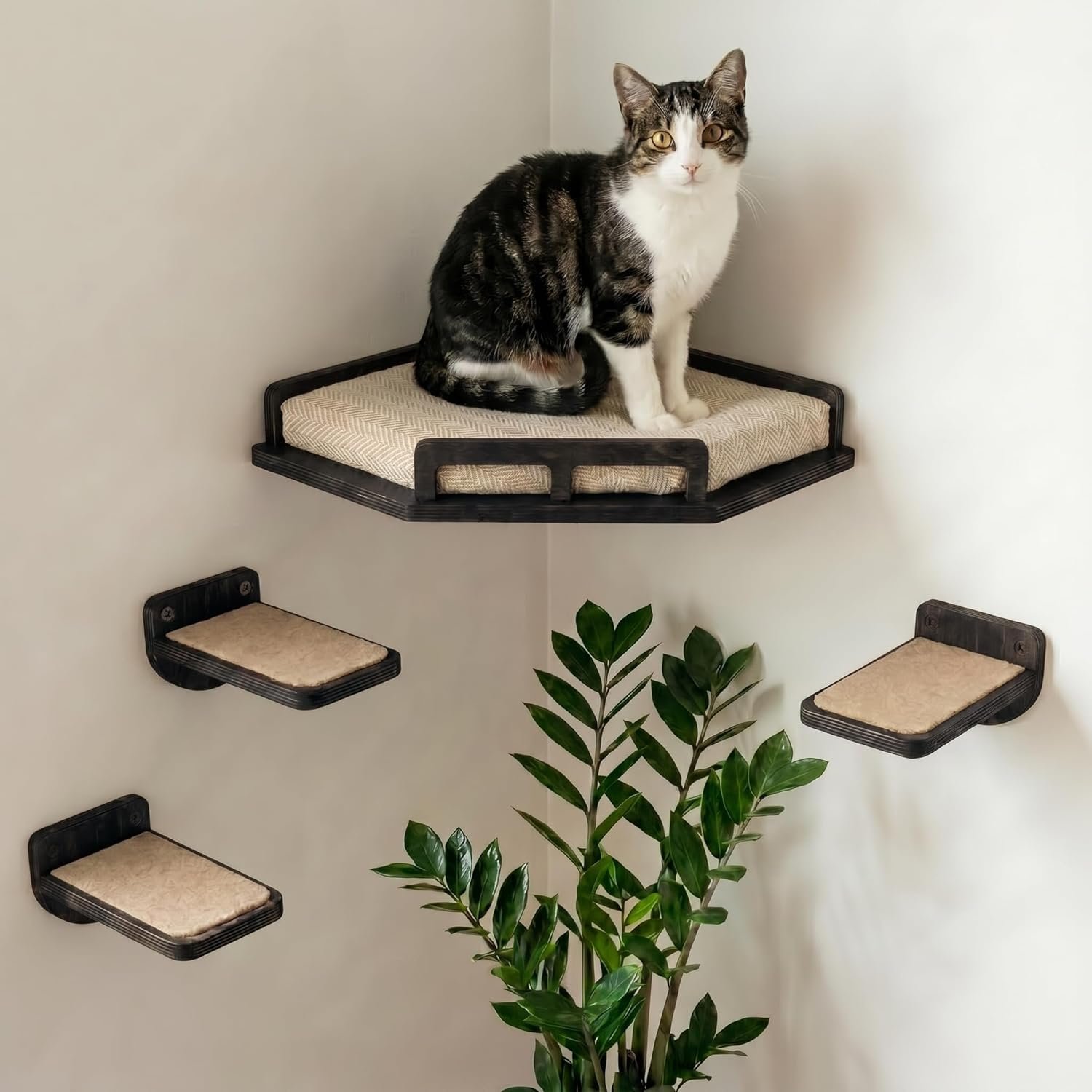 INICIO Cat Wall Shelves – Safe and Sturdy Cat Wall Furniture – Stylish Natural Wood Corner Shelf with 3 Steps for Cats up to 15lbs – Cushioned Perch and Stairs for Climbing and Playing – Black
