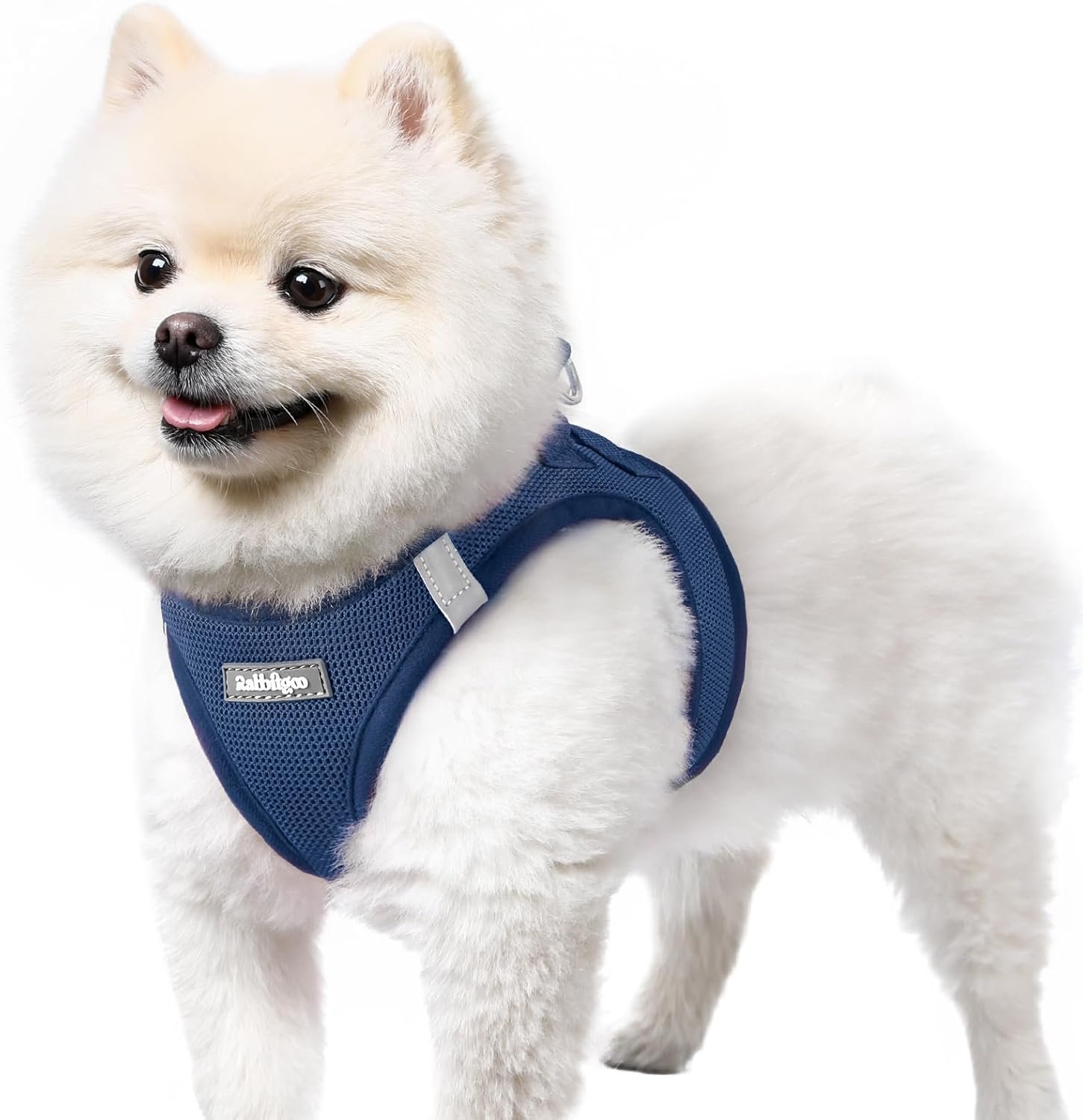 rabbitgoo Small Dog Harness, Step-in Easy On Soft Light Puppy Vest with Breathable Mesh for Walking, Safe Reflective Pet Harness for Small Sized Dogs, Navy Blue S
