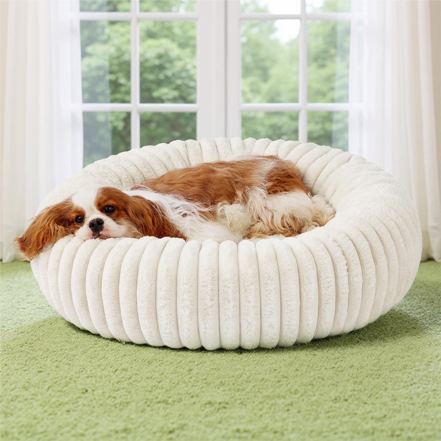 Bedsure ComfyFleece™ Donut Medium Dog Bed – Washable Faux Fur with Corduroy Fleece & Anti Slip Bottom, Round Pet Bed with Removable Cover, Cream, 30x30x8 inches