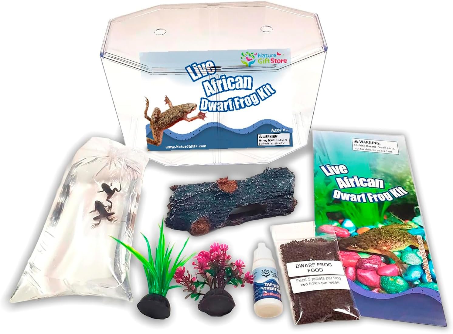 African Dwarf Frog Starter Kit- Includes Certificate for 2 Live Frogs -Small Aquarium, Food, Instructions