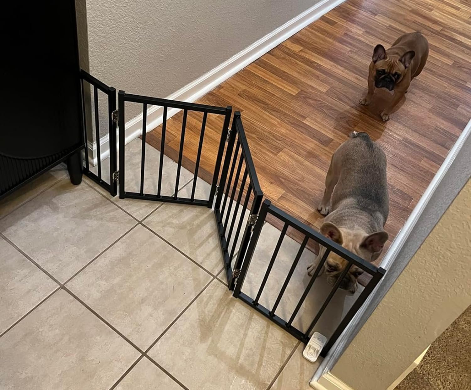 BFNN Free Standing Dog Gate, 16.5″ Short Pet Gate for Stairs and Doorways, Up to 48″ Wide Foldable Puppy Fence, Indoor & Outdoor Use, No Drilling and No Assembly, for Small & Toy Dogs, Black
