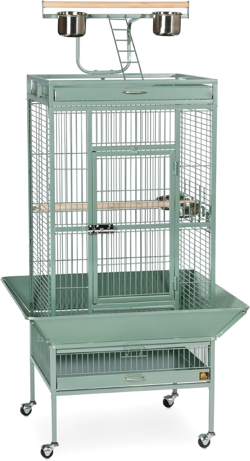 Prevue Pet Products Wrought Iron Select Bird Cage – Large Steel Cage with Rolling Stand, Seed Guards, and Playtop, Durable Design, Ideal for Conures and Medium Birds – Sage Green