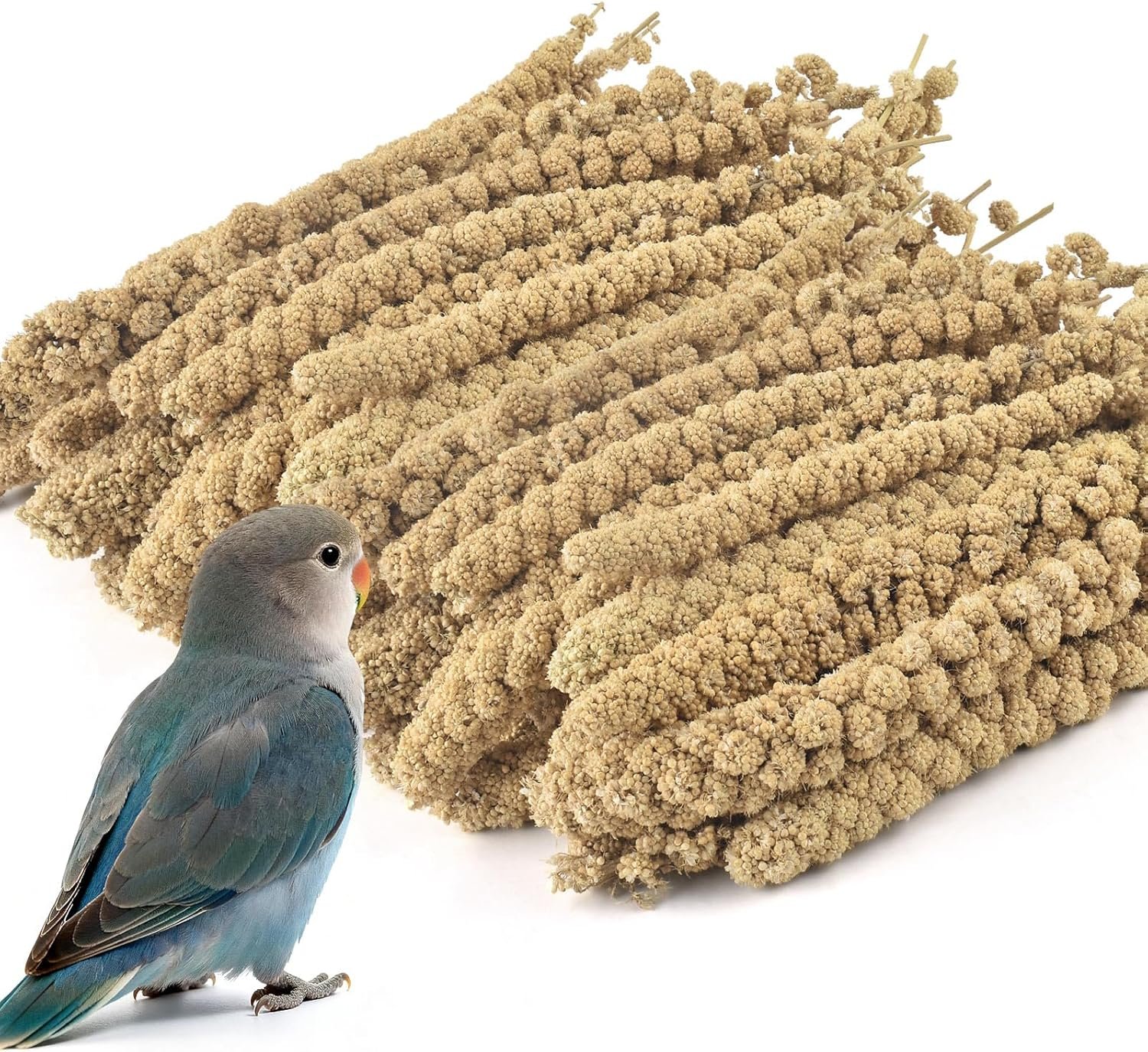 ERKOON 2.5LB Spray Millet Treat, All Natural Sun-Dried Healthy Treat Parrot Food Bird Snack for Parakeets, Lovebirds, Cockatiels, Finches, Budgies, Canaries Hamster, Bird Food Bulk