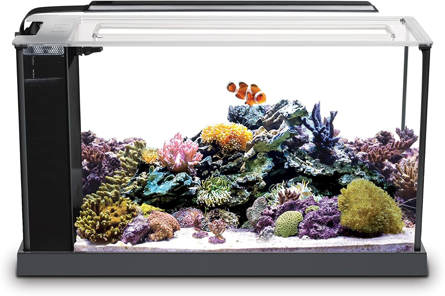 Fluval Sea Evo V Saltwater Fish Tank Aquarium Kit, Black, 5 gal, 10528A1