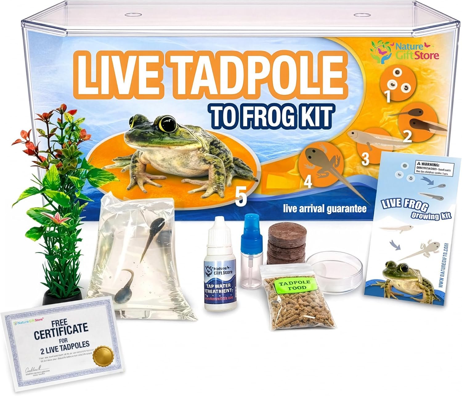 Tadpole to Frog Starter Kit – Includes Certificate for 2 Live Tadpoles – All-in-One Bundle with Habitat, Food, Instructions – Ideal for Education and Home Observation