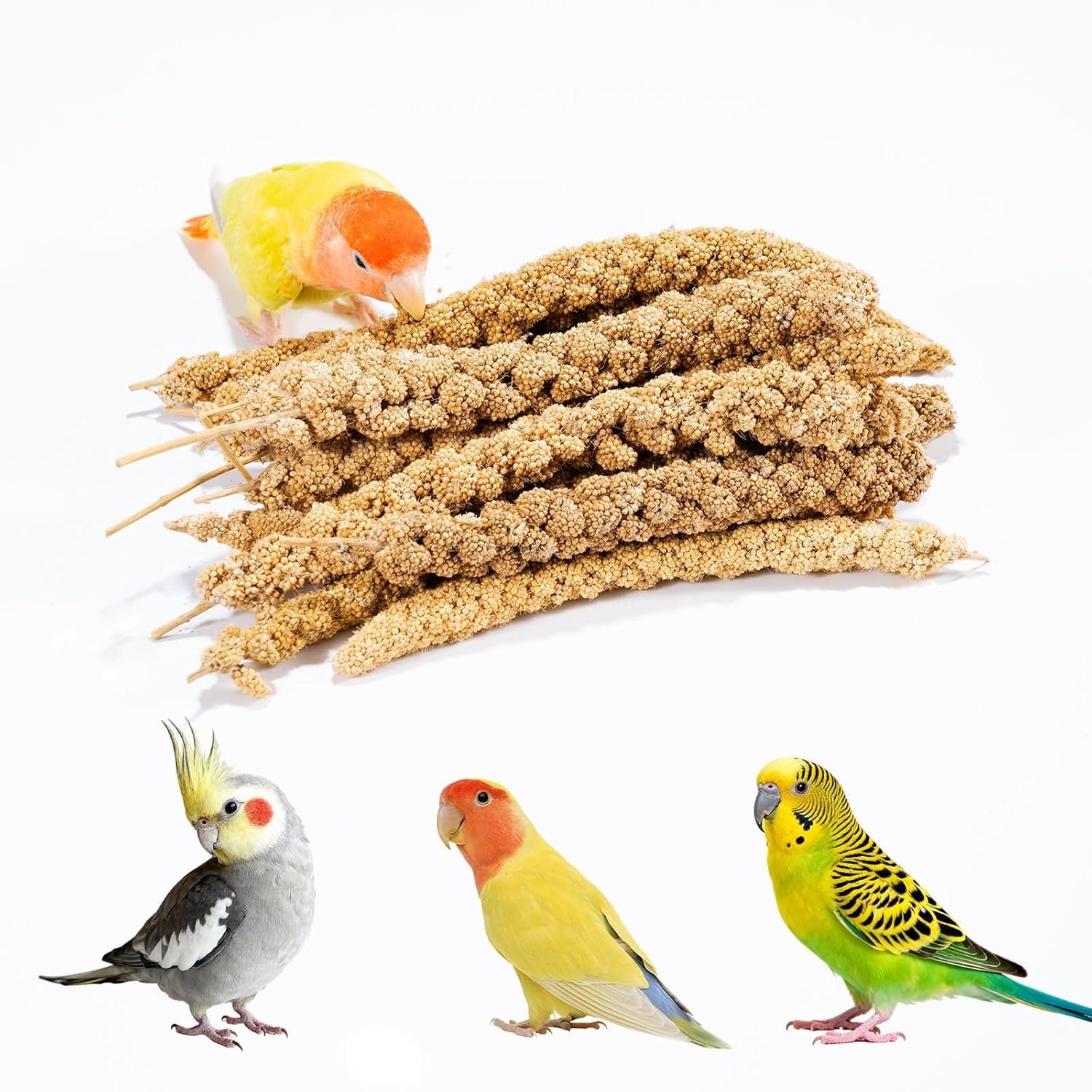 14 Oz Spray Millet Treat for Bird, for Parrot, Budgies, Parakeets, Cockatiels, Finches, Lovebirds, Canaries and Other Pet Birds