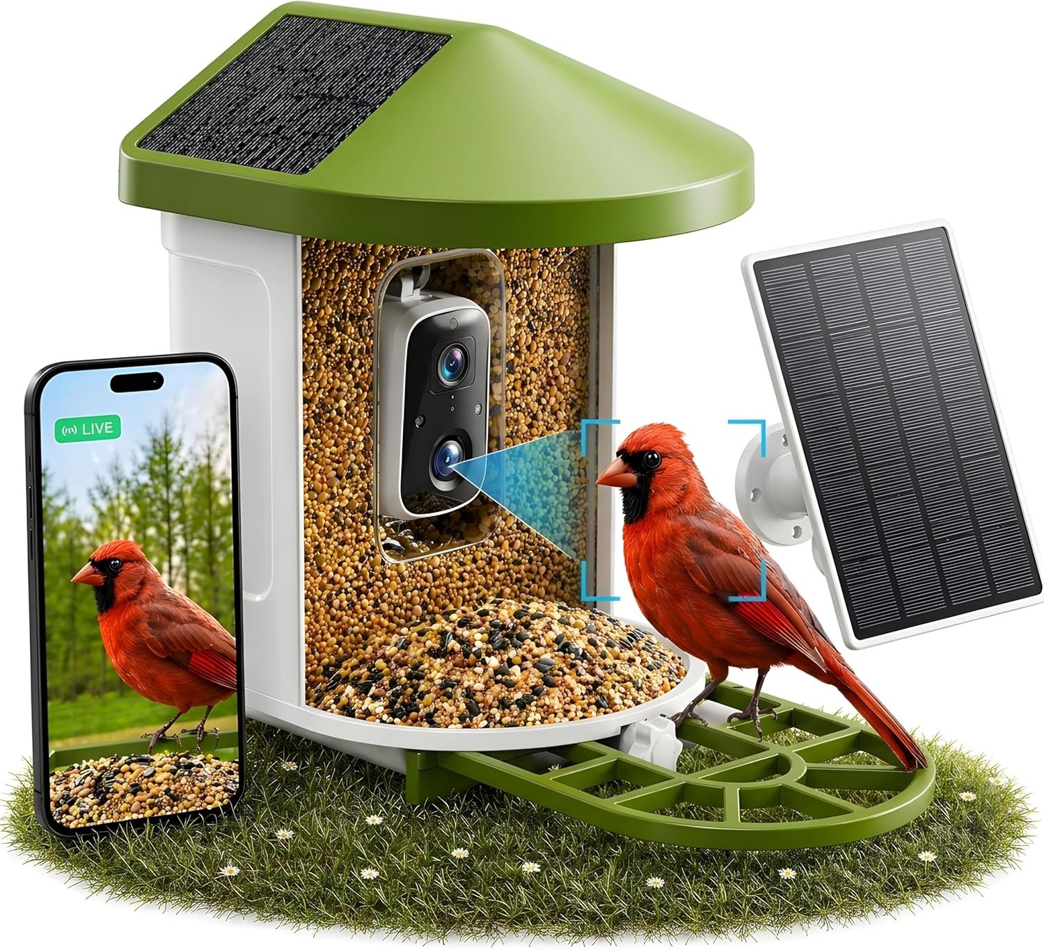 Birvio™ Smart Bird Feeder with Camera, Solar Powered, 1080P HD WiFi Live Stream, AI Bird Identification, Instant Motion Alerts